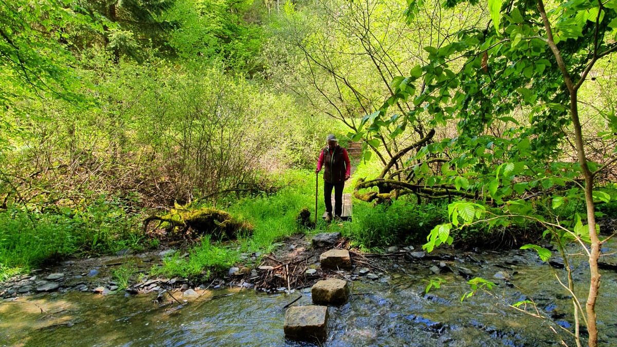 Lebenselixier Wasser: ein Kreislauf vom Ursprung bis zum Verbrauch